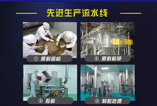 網(wǎng)絡技術服務 驅動數(shù)字化轉型的關鍵力量